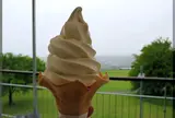 都農ワイナリー