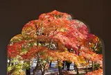永観堂（禅林寺）