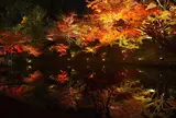 高台寺
