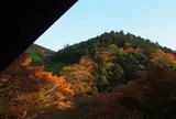 高山寺