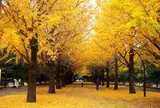 光が丘公園