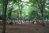 光が丘公園