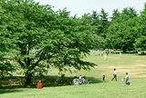 光が丘公園