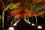 富士吉田市歴史民俗博物館