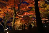 旭日丘湖畔緑地公園