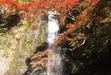 箕面の滝