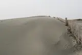 中田島砂丘