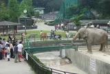 岡崎市東公園動物園