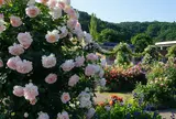 国営越後丘陵公園