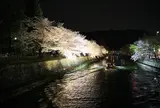 岡崎公園