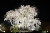 円山公園