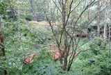 モダン湯治 おんりーゆー 2