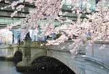 日本橋