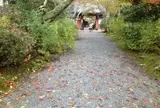 常照寺