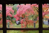 東福寺
