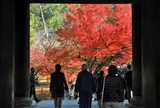 南禅寺