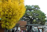 動物園も紅葉