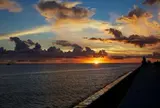 宮城海岸