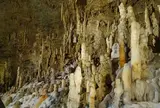 おきなわワールド