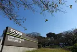 北の丸公園