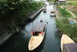 近江八幡水郷めぐり