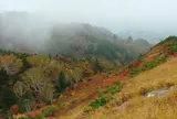 白山スーパー林道