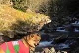 北沢