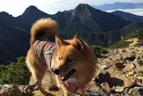 赤岩の頭