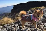 硫黄岳