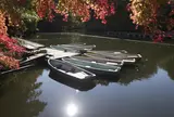 震生湖