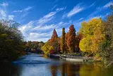 井の頭恩賜公園