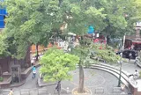 御津公園（三角公園）