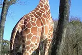 富士サファリパーク
