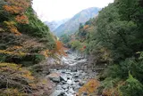 祖谷のかずら橋