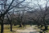 福岡城跡