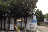 海の幸