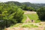 大平山