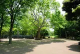 蚕糸の森公園