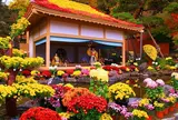 二本松の菊人形