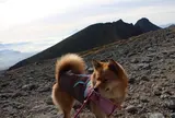 硫黄岳