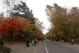 北海道大学