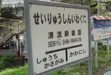 清流新岩国駅