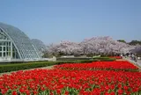 京都府立植物園