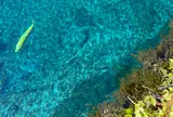 忍野八海