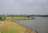 葛西海浜公園