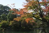 兼六園