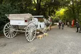 糺ノ森