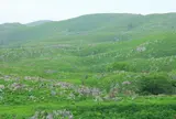 秋吉台