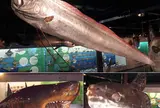 海とくらしの史料館