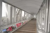 渦の道